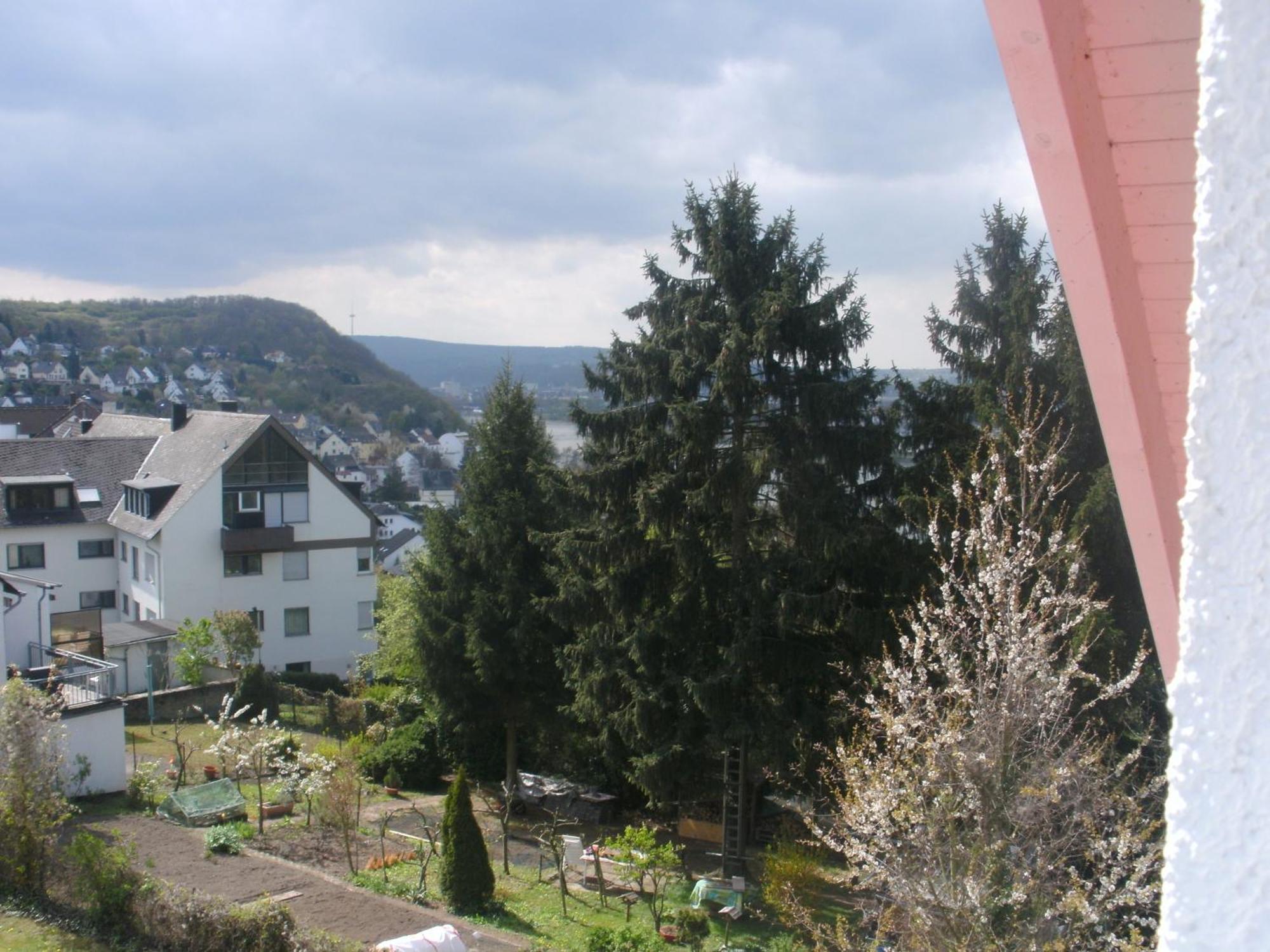 Hotel Rhein-Mosel-View Urbar  Exterior foto